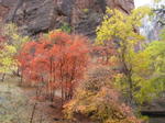 Zion National Park